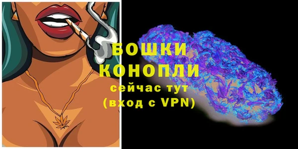 дживик Болхов