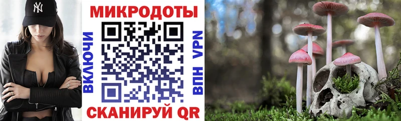 Купить где  Бугуруслан  Галлюциногенные грибы GOLDEN TEACHER 